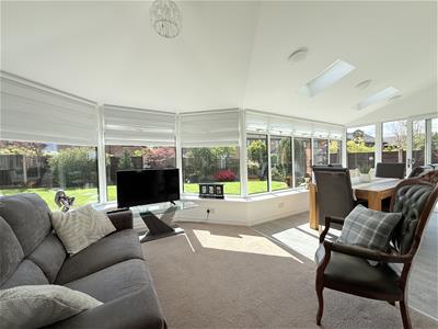 Picture 11